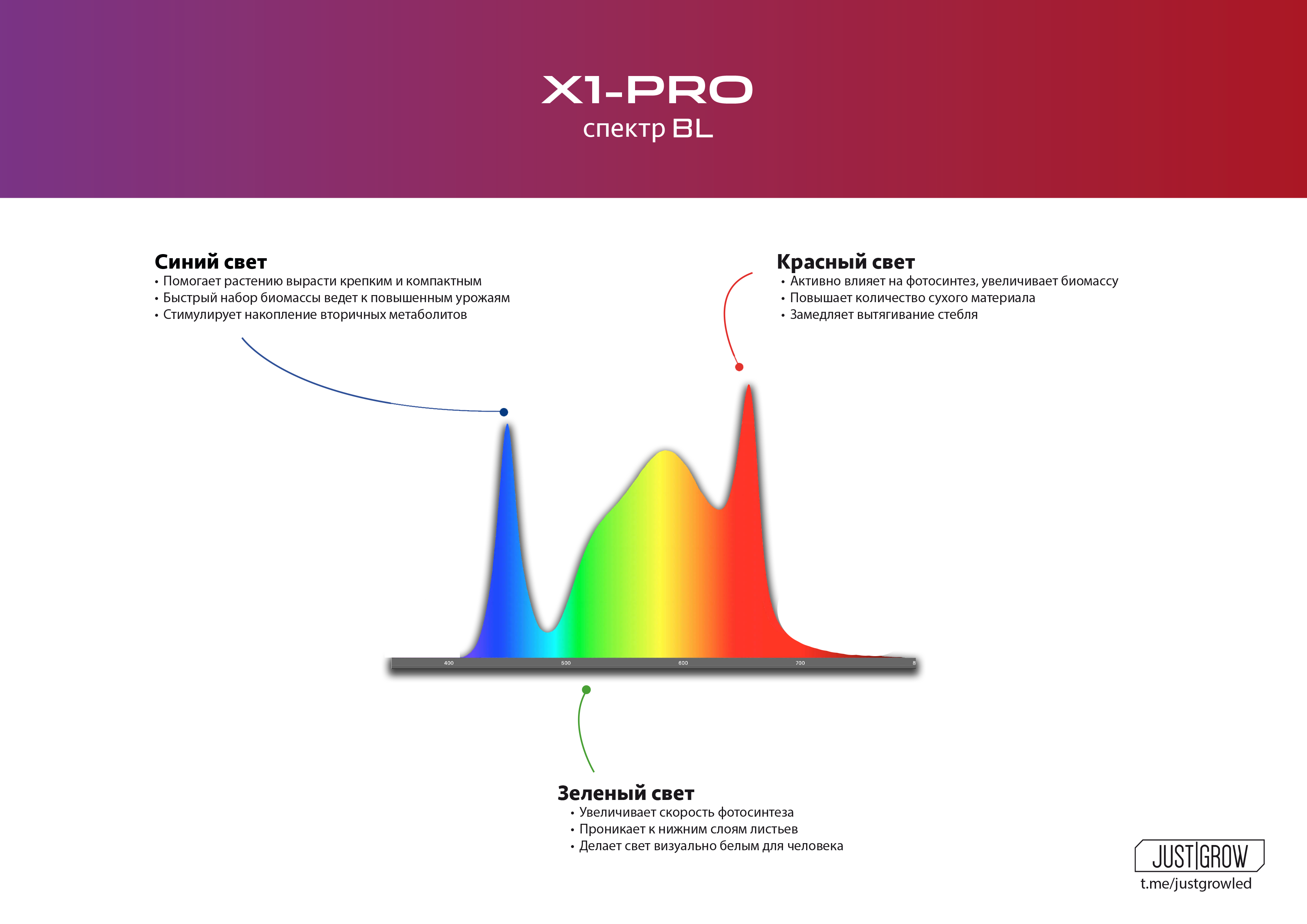 Спектр X1 PRO Spectrum BL